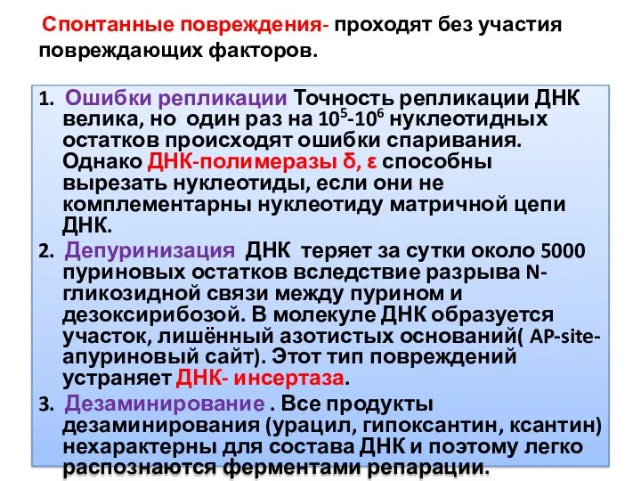 Спонтанные повреждения- проходят без участия повреждающих факторов. 1. Ошибки репликации Точность