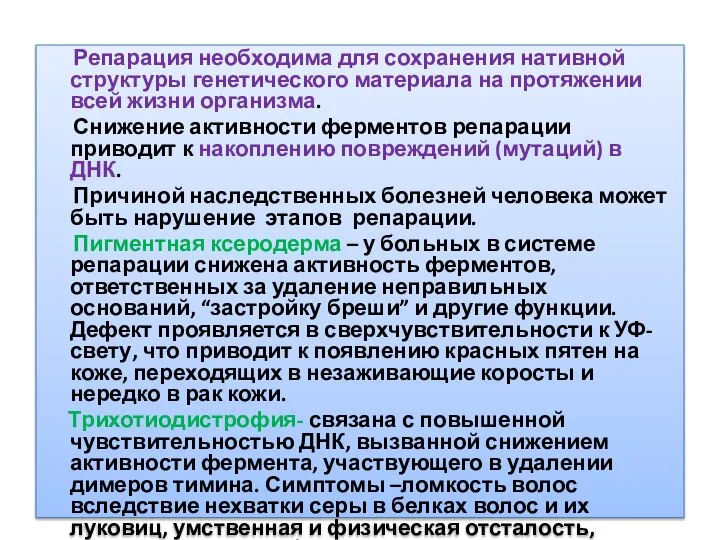 Репарация необходима для сохранения нативной структуры генетического материала на протяжении всей