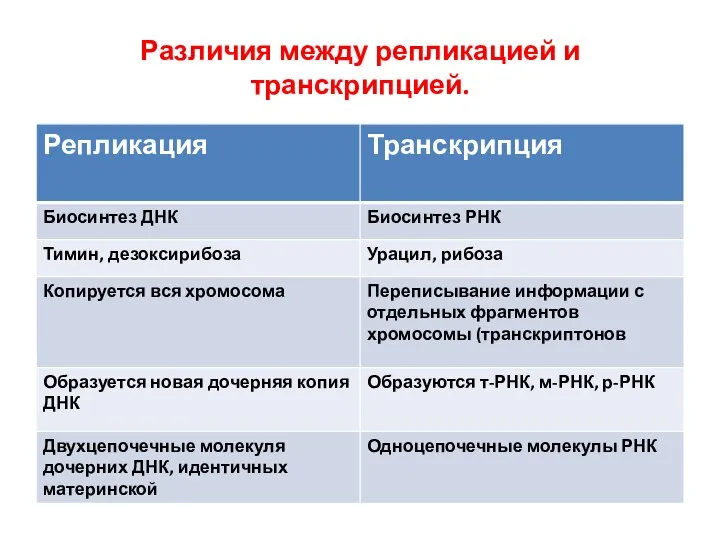 Различия между репликацией и транскрипцией.