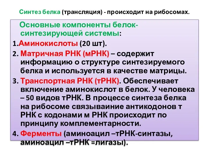 Синтез белка (трансляция) - происходит на рибосомах. Основные компоненты белок-синтезирующей системы: