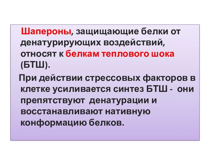 Шапероны, защищающие белки от денатурирующих воздействий, относят к белкам теплового шока