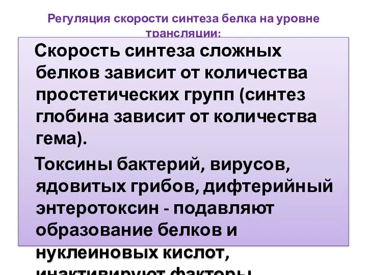 Регуляция скорости синтеза белка на уровне трансляции: Скорость синтеза сложных белков