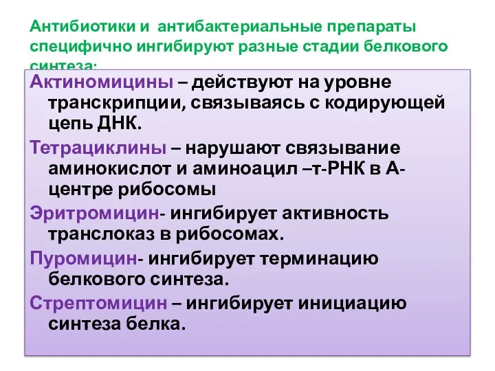 Антибиотики и антибактериальные препараты специфично ингибируют разные стадии белкового синтеза: Актиномицины