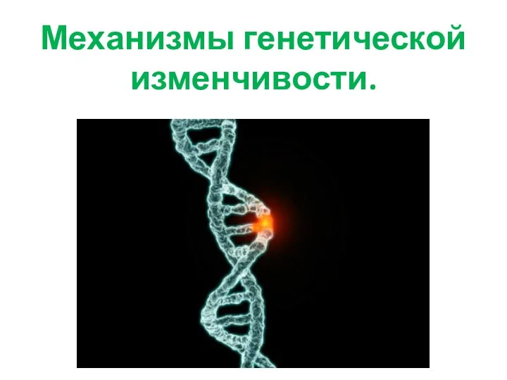 Механизмы генетической изменчивости.