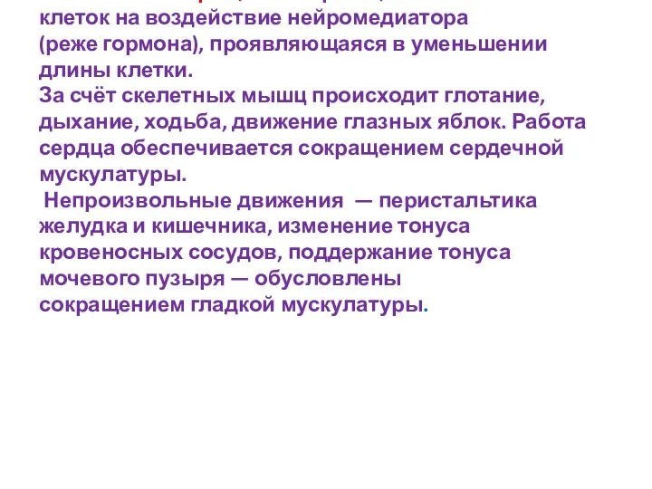 Мы́шечное сокраще́ние — реакция мышечных клеток на воздействие нейромедиатора (реже гормона),