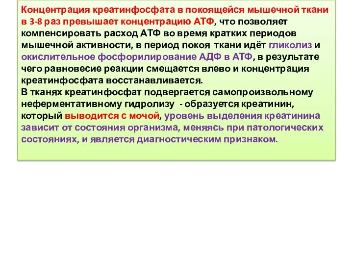 Концентрация креатинфосфата в покоящейся мышечной ткани в 3-8 раз превышает концентрацию