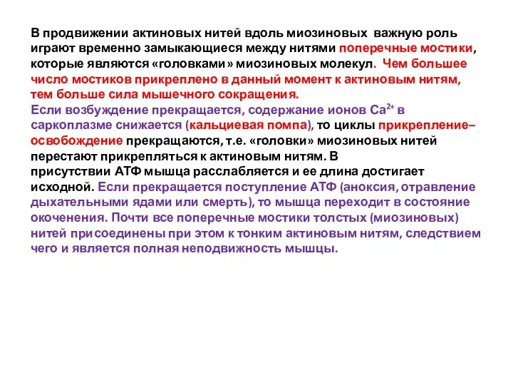 В продвижении актиновых нитей вдоль миозиновых важную роль играют временно замыкающиеся