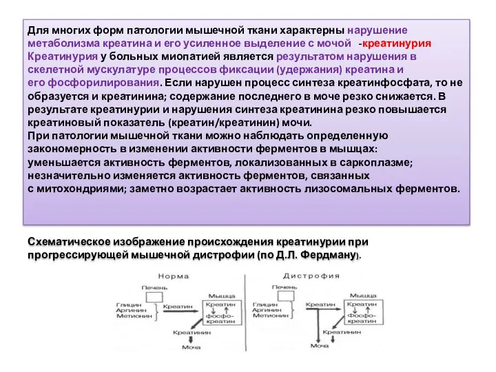 Для многих форм патологии мышечной ткани характерны нарушение метаболизма креатина и