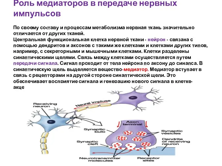 Роль медиаторов в передаче нервных импульсов По своему соcтаву и процессам