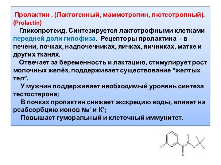 Пролактин . (Лактогенный, маммотропин, лютеотропный). (Prolactin) Гликопротеид. Синтезируется лактотрофными клетками передней