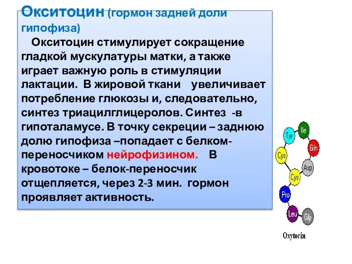 Окситоцин (гормон задней доли гипофиза) Окситоцин стимулирует сокращение гладкой мускулатуры матки,