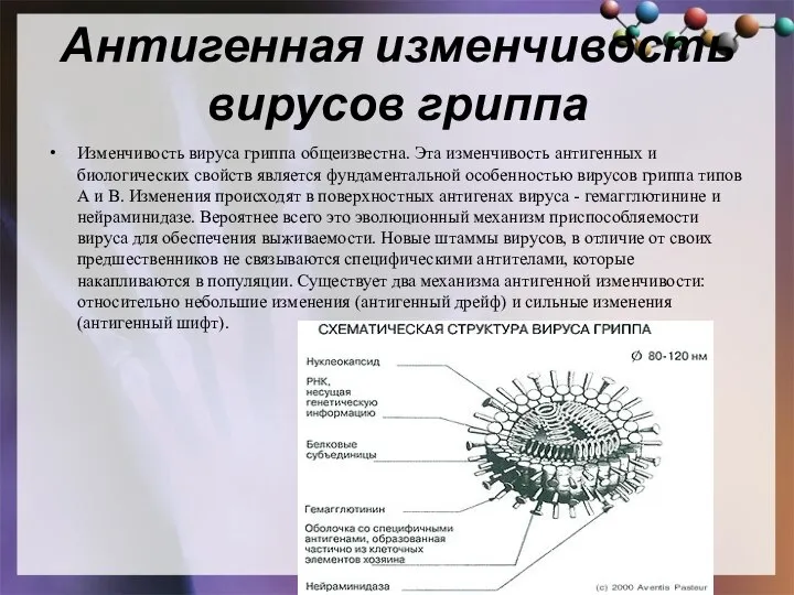 Антигенная изменчивость вирусов гриппа Изменчивость вируса гриппа общеизвестна. Эта изменчивость антигенных