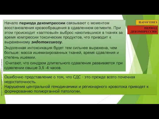 Лекция №4: Синдром длительного сдавления ПАТОГЕНЕЗ ПЕРИОД ДЕКОМПРЕССИИ Начало периода декомпрессии