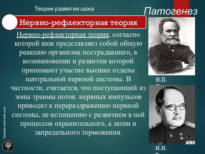 Патогенез Теории развития шока И.П. Павлов Н.Н. Бурденко Нервно-рефлекторная теория, согласно