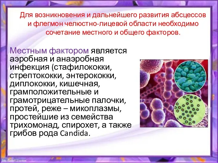 Для возникновения и дальнейшего развития абсцессов и флегмон челюстно-лицевой области необходимо