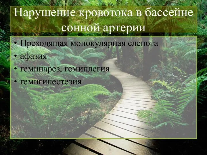 Нарушение кровотока в бассейне сонной артерии Преходящая монокулярная слепота афазия гемипарез, гемиплегия гемигипестезия