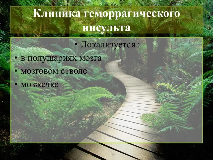 Клиника геморрагического инсульта Локализуется : в полушариях мозга мозговом стволе мозжечке