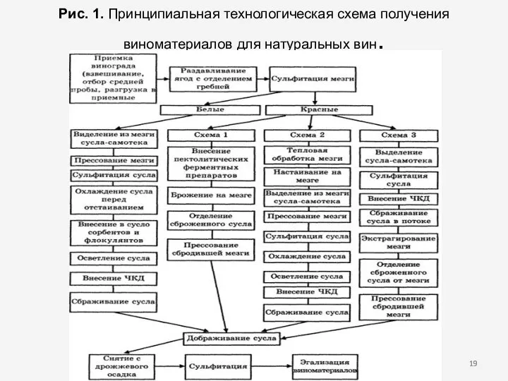 Рис. 1. Принципиальная технологическая схема получения виноматериалов для натуральных вин.