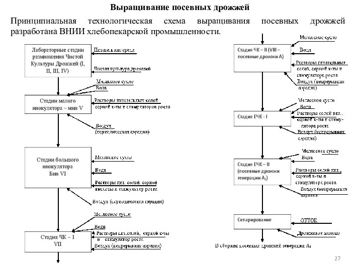 Выращивание посевных дрожжей Принципиальная технологическая схема выращивания посевных дрожжей разработана ВНИИ хлебопекарской промышленности.