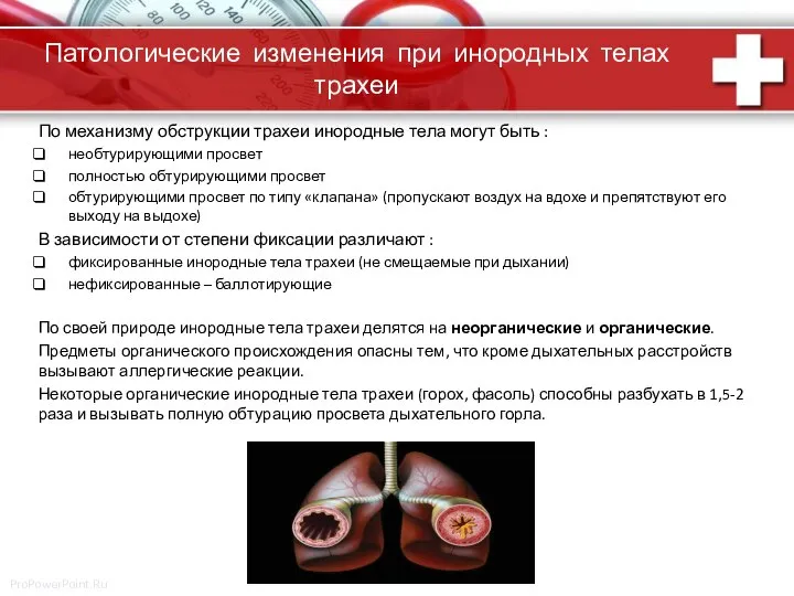 Патологические изменения при инородных телах трахеи По механизму обструкции трахеи инородные