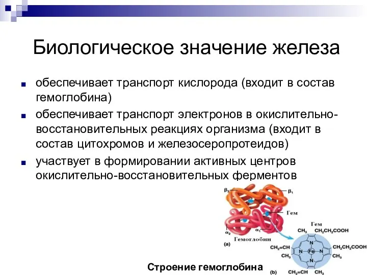 Биологическое значение железа обеспечивает транспорт кислорода (входит в состав гемоглобина) обеспечивает