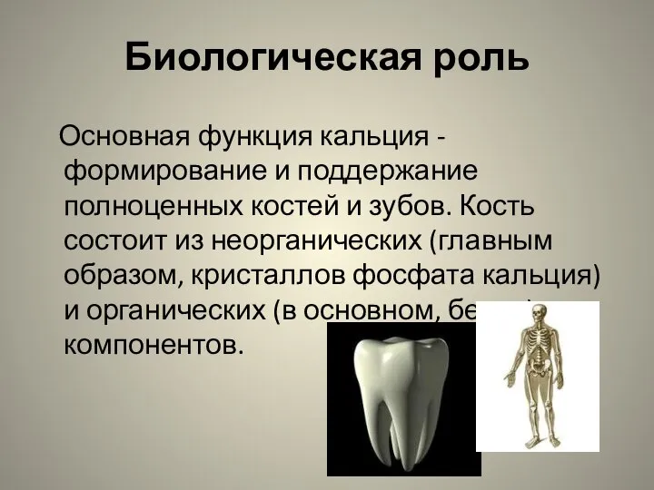 Биологическая роль Основная функция кальция - формирование и поддержание полноценных костей