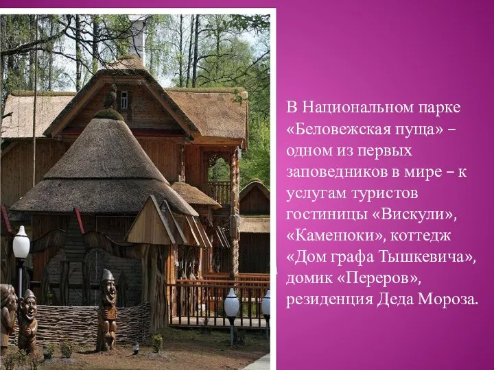 В Национальном парке «Беловежская пуща» – одном из первых заповедников в