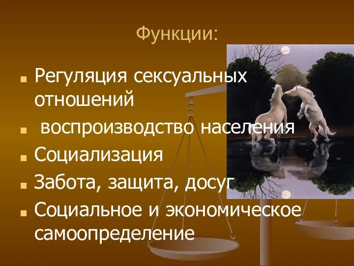 Функции: Регуляция сексуальных отношений воспроизводство населения Социализация Забота, защита, досуг Социальное и экономическое самоопределение