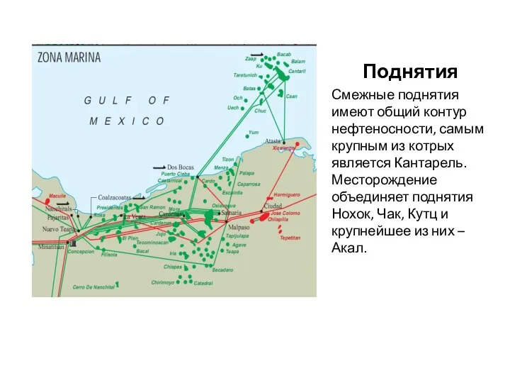 Поднятия Смежные поднятия имеют общий контур нефтеносности, самым крупным из котрых