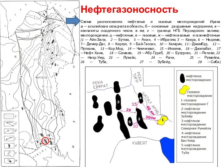 Нефтегазоносность Схема расположения нефтяных и газовых месторождений Ирака а — альпийская