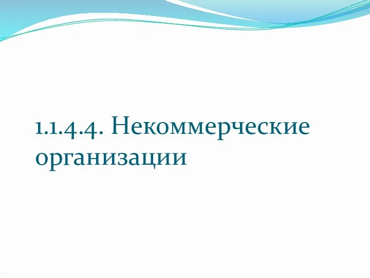 1.1.4.4. Некоммерческие организации