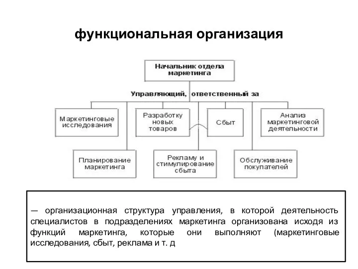 функциональная организация — организационная структура управления, в которой деятельность специалистов в