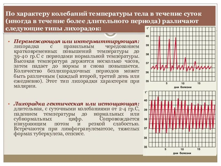 По характеру колебаний температуры тела в течение суток (иногда в течение