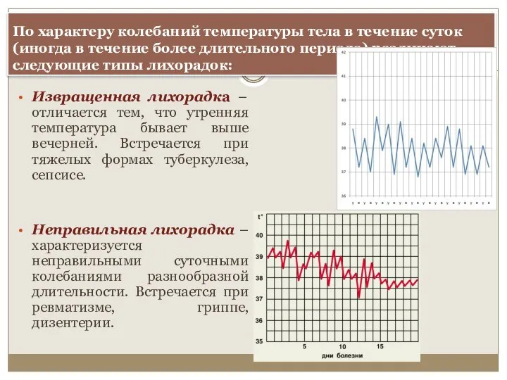 По характеру колебаний температуры тела в течение суток (иногда в течение