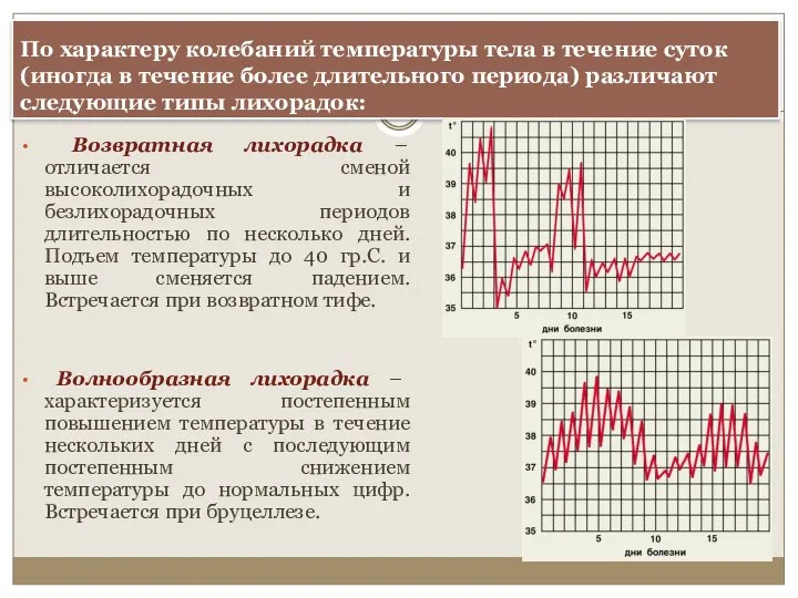 По характеру колебаний температуры тела в течение суток (иногда в течение