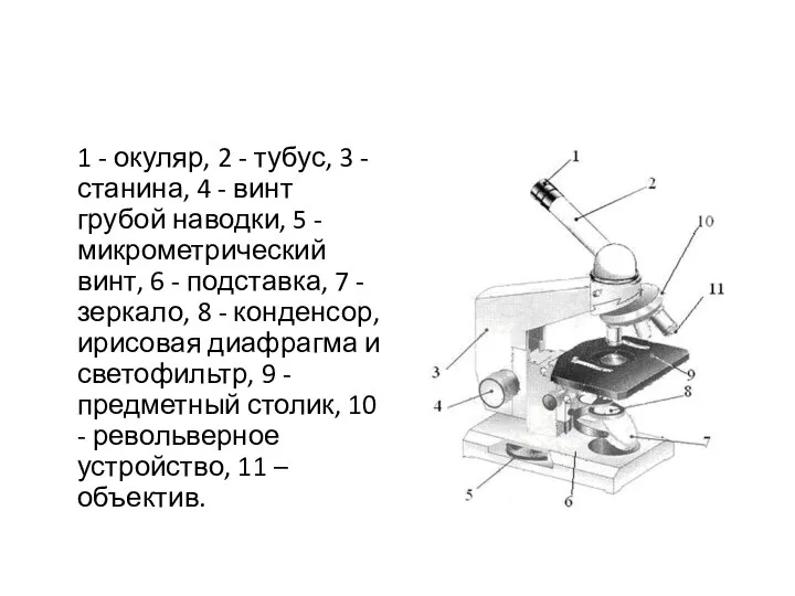 1 - окуляр, 2 - тубус, 3 - станина, 4 -