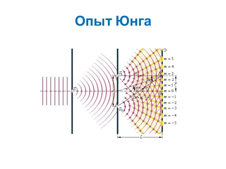 Опыт Юнга