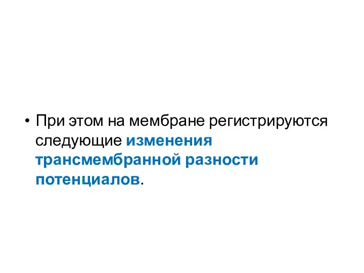 При этом на мембране регистрируются следующие изменения трансмембранной разности потенциалов.