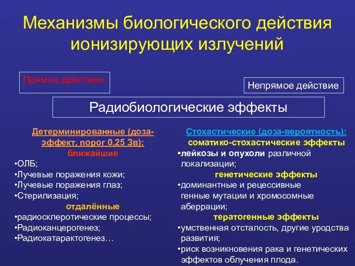 Механизмы биологического действия ионизирующих излучений Прямое действие Непрямое действие Радиобиологические эффекты