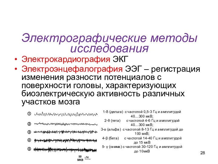 Электрографические методы исследования Электрокардиография ЭКГ Электроэнцефалография ЭЭГ – регистрация изменения разности