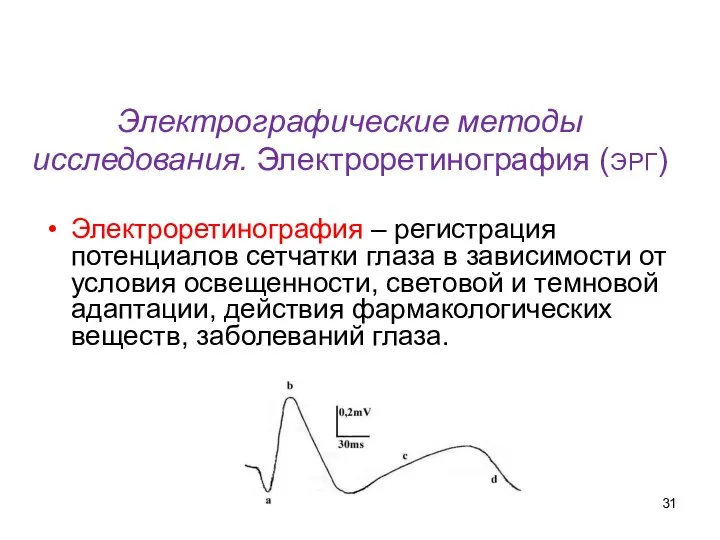 Электрографические методы исследования. Электроретинография (ЭРГ) Электроретинография – регистрация потенциалов сетчатки глаза