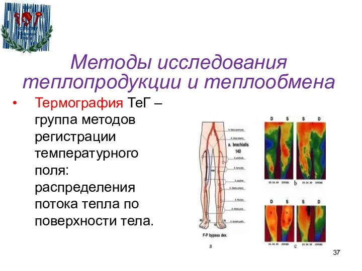 Методы исследования теплопродукции и теплообмена Термография ТеГ – группа методов регистрации