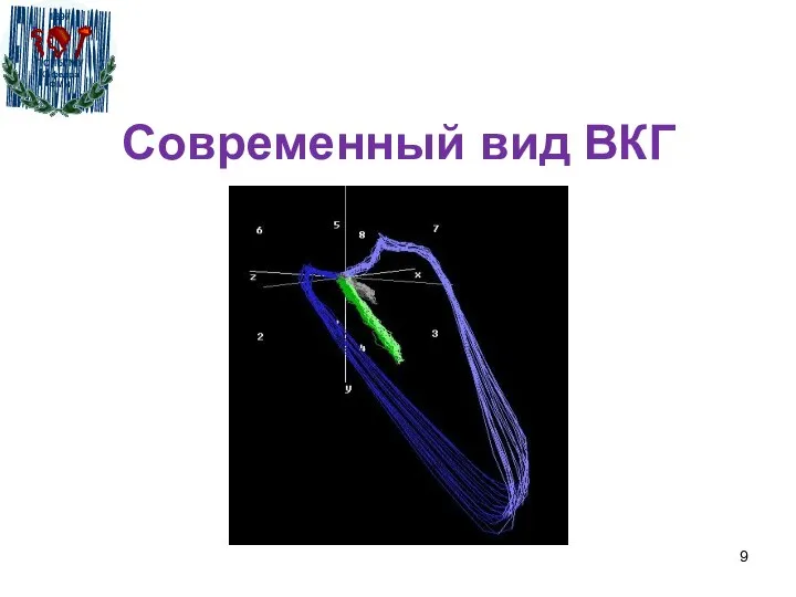 Современный вид ВКГ