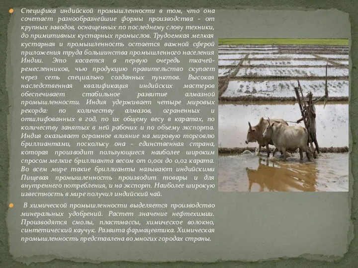 Специфика индийской промышленности в том, что она сочетает разнообразнейшие формы производства