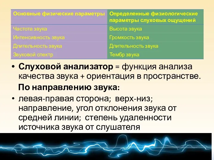 Слуховой анализатор = функция анализа качества звука + ориентация в пространстве.