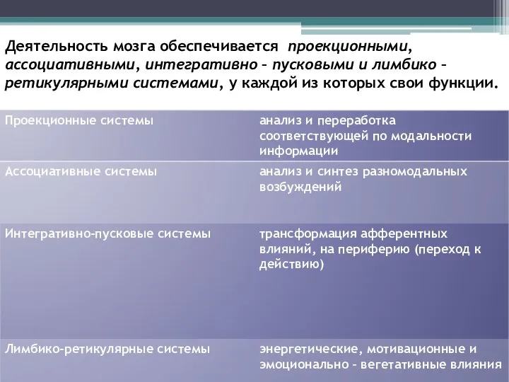 Деятельность мозга обеспечивается проекционными, ассоциативными, интегративно – пусковыми и лимбико –