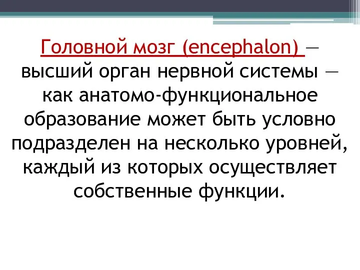 Головной мозг (encephalon) — высший орган нервной системы — как анатомо-функциональное