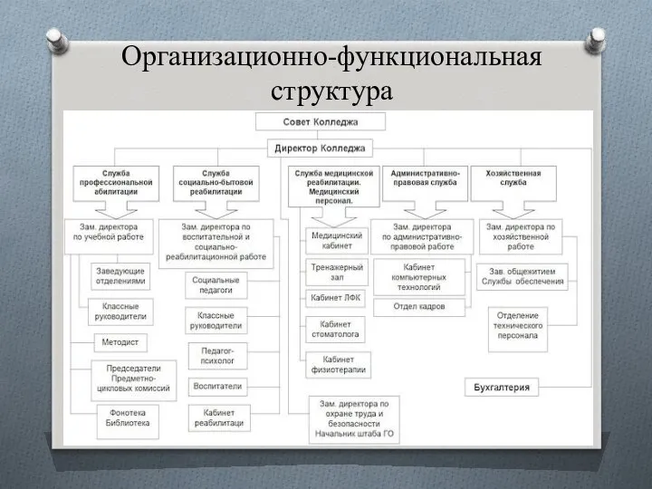 Организационно-функциональная структура