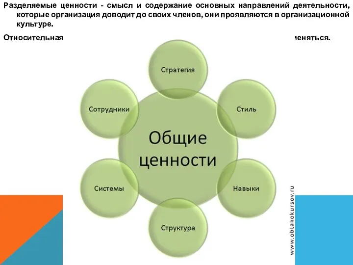 Разделяемые ценности - смысл и содержание основных направлений деятельности, которые организация