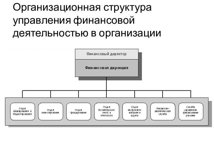 Организационная структура управления финансовой деятельностью в организации